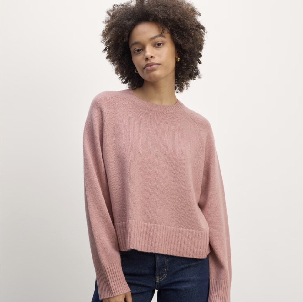 🆕-EVERLANE The Boxy Sweater in Everyday Cotton